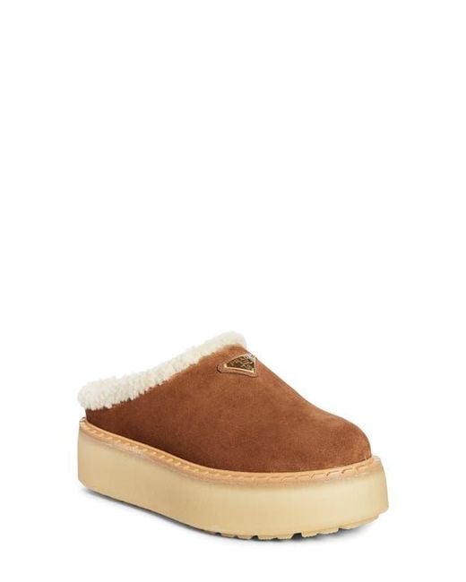 Prada Brown Evolve Genuine Shearling Clog