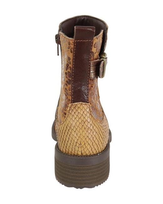 David Tate Brown Swinger Cap Toe Bootie