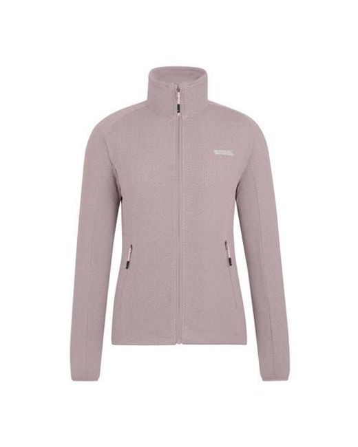 Regatta Purple Malana Soft Shell Jacket