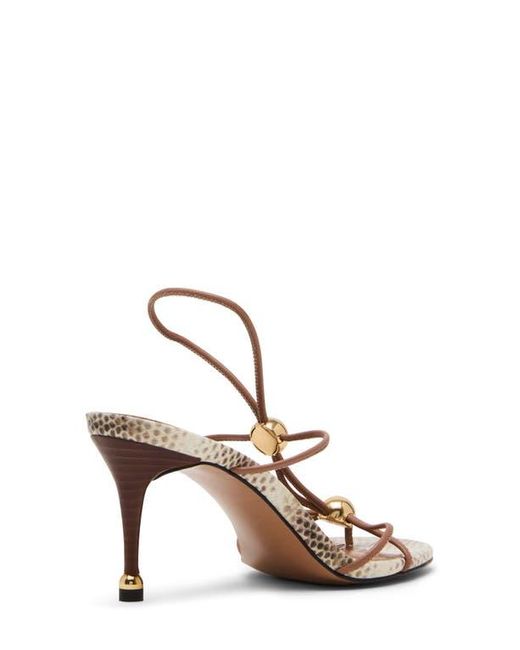 Steve Madden Multicolor Ramos Strappy Sandal