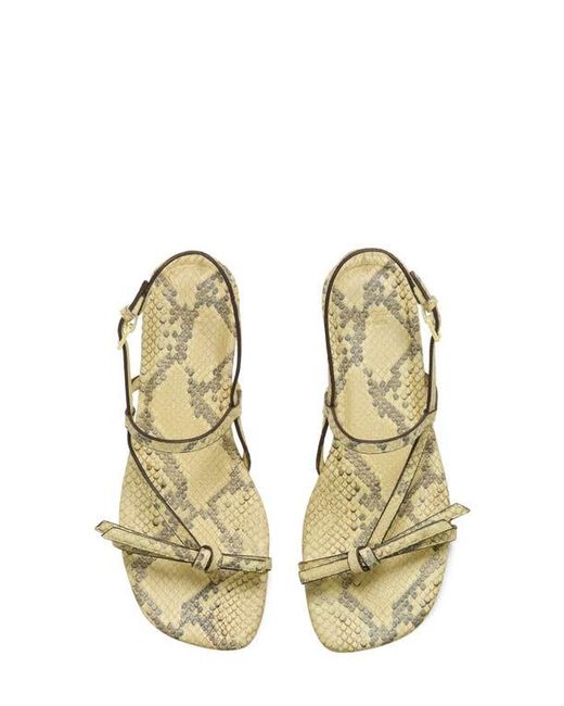 Kate Spade Multicolor Loop Slingback Sandal