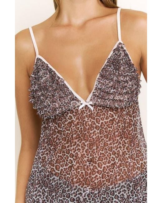 Honeydew Intimates Purple Rumba Floral Ruffle Sheer Chemise