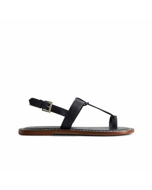 Bernardo Brown Maverick 2 Toe Ring Sandal