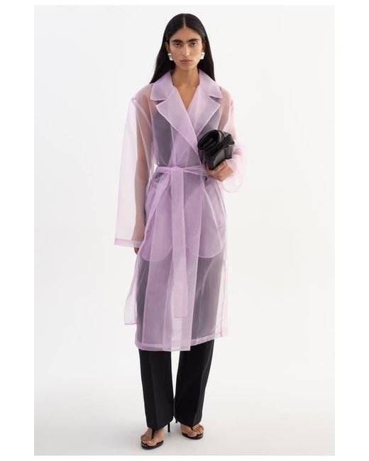 Lamarque Pink Talise