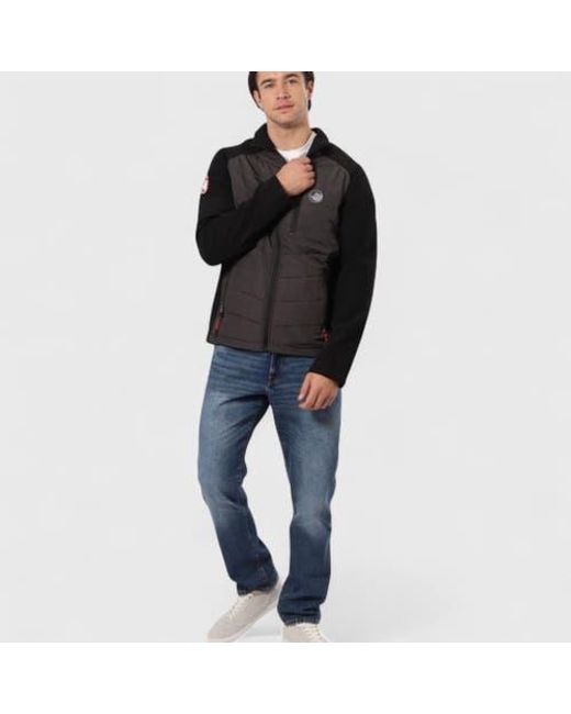 canada weather gear Black Hybrid Softshell Puffer Jacket for men