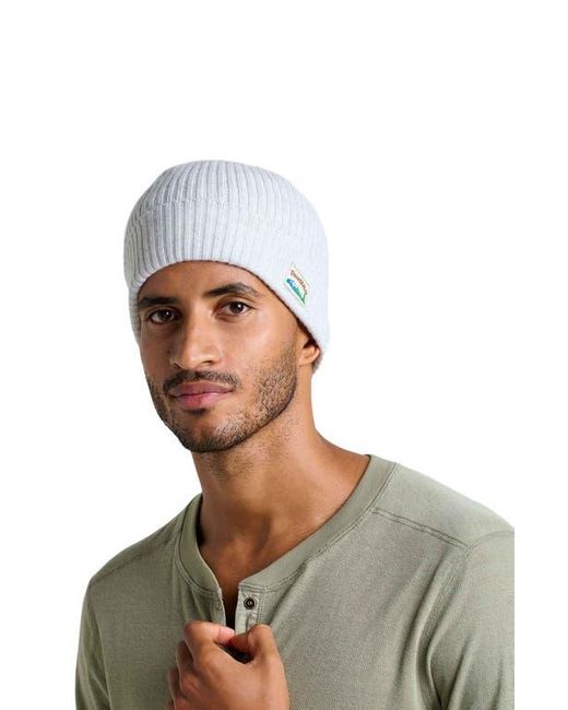 Toad & Co. Blue Cazadero Beanie