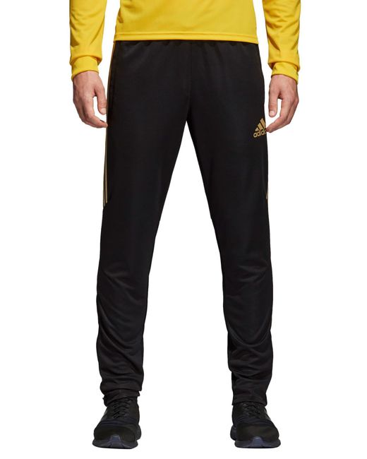 Gold hotsell tiro 17