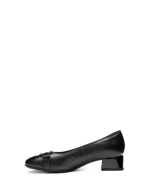 Ara Black Glacier Pump