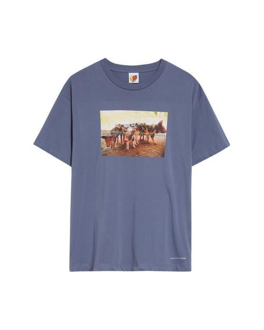 Sky High Farm Blue Gender Inclusive Pigs Farm Regenerative Cotton Graphic T-Shirt for men