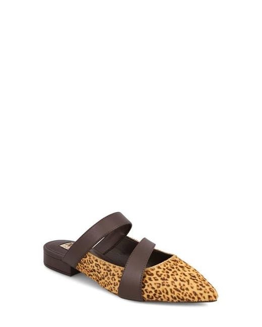 MIA Brown Abie Pointed Toe Mule