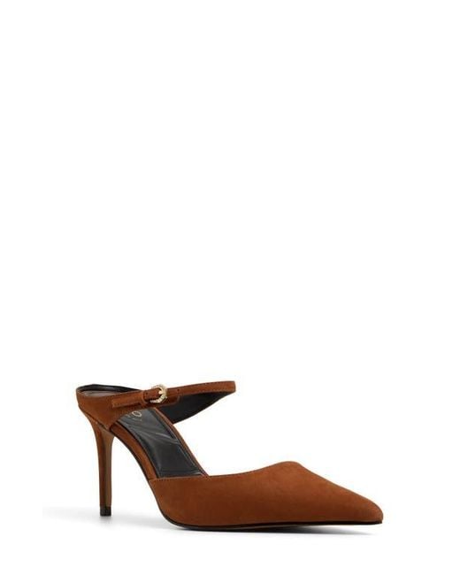 ALDO Brown Sidnney Pointed Toe Pump