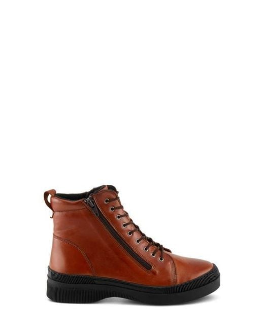 Spring Step Brown Hoylein Combat Boot