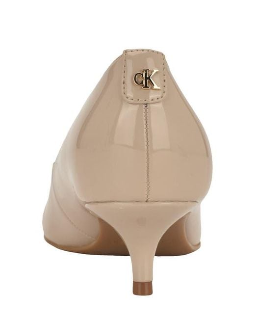Calvin Klein Brown Roxanna Pointed Toe Pump