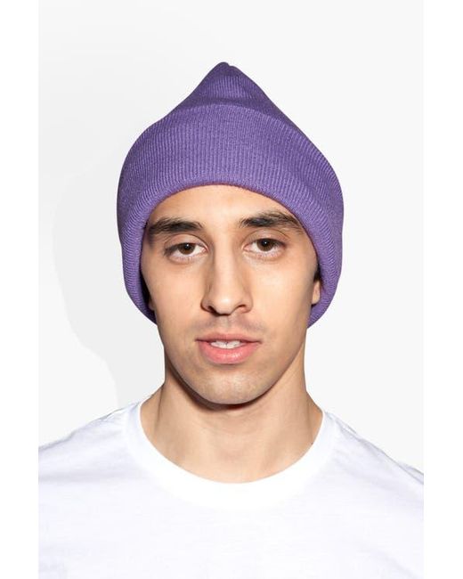 The Celect Blue Classic Beanie