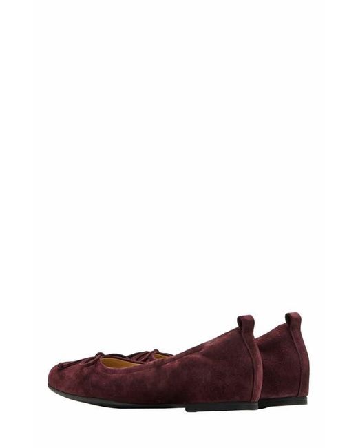 ABEO Brown Cadence Bow Ballet Flat
