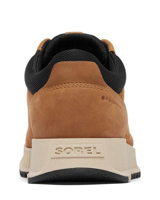 Sorel Brown Mac Hill Lite Low Profile Waterproof Hiker Shoe for men