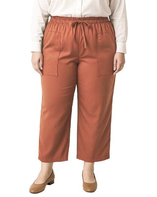 Standards & Practices Multicolor Crop Pants