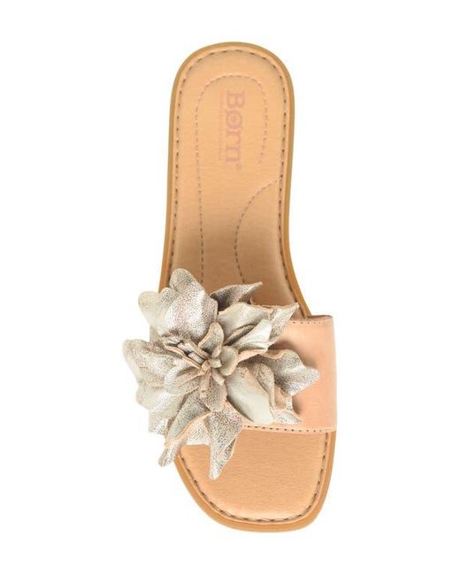 Børn Multicolor Hibiscus Slide Sandal