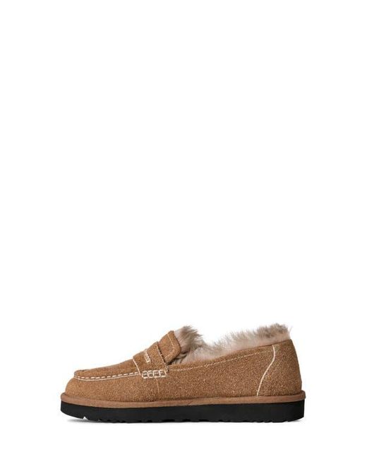 Ugg Brown Ellis Wool Loafer