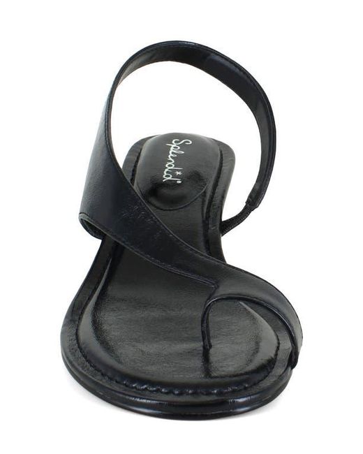 Splendid Black Helen Toe Loop Sandal