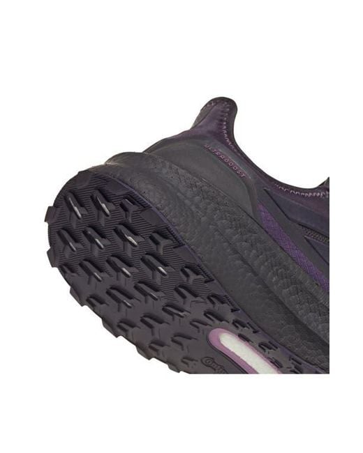 Adidas Blue Ultraboost 5 Gtx Running Shoe