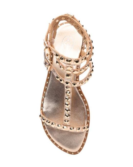 Ash Pink Play 2 Gladiator Sandal