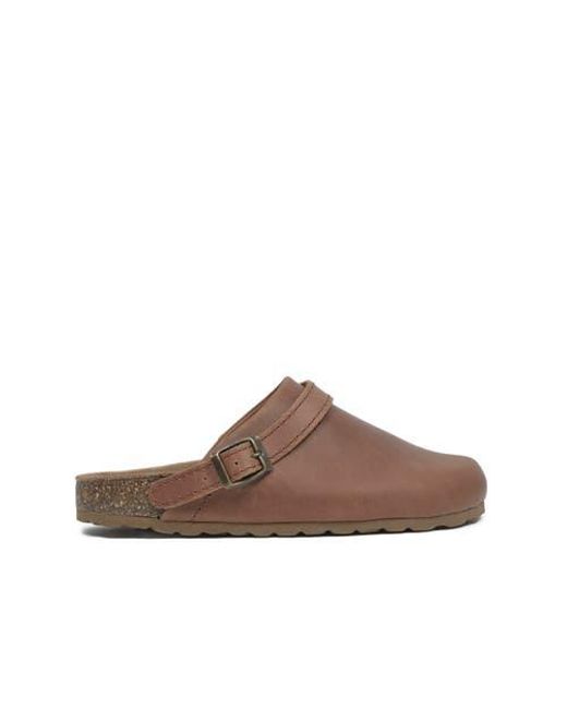 Celtic & Co. Brown Strap Detail Clog
