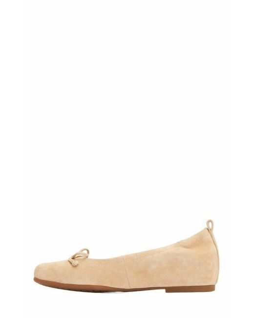 ABEO White Cadence Bow Ballet Flat