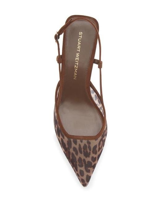 Stuart Weitzman Brown Vinnie Kitten Heel Pump