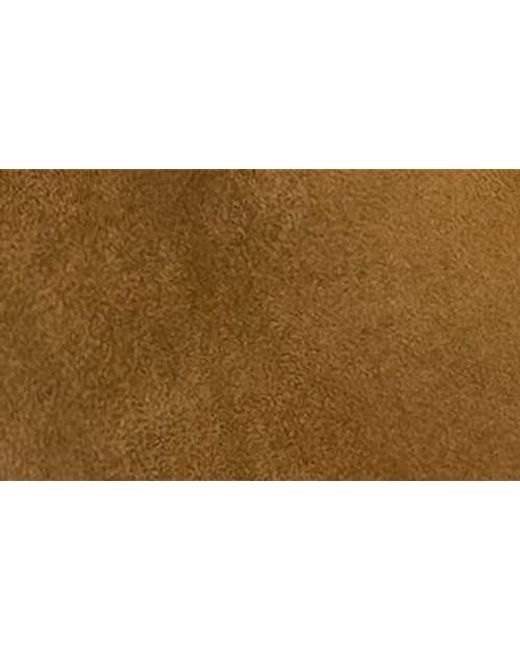 Aerosoles Brown Prue Tall Boot