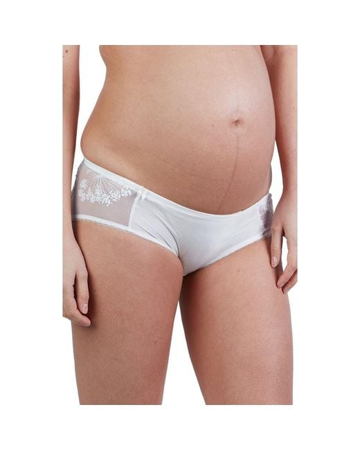 Cache Coeur Blue Louise Embroidered Maternity Shorts