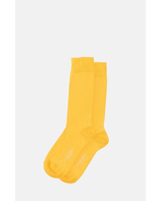 Scarosso Yellow Colocott Socks for men