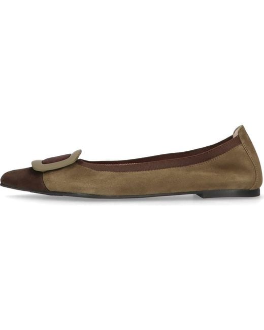Pretty Ballerinas Brown Pointed Toe Elasticated Ballet Flat