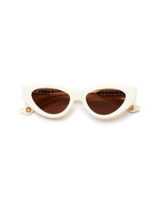 VADA Brown Catfish Sunglasses