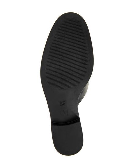 BCBGMAXAZRIA Black Zorie Bit Mule