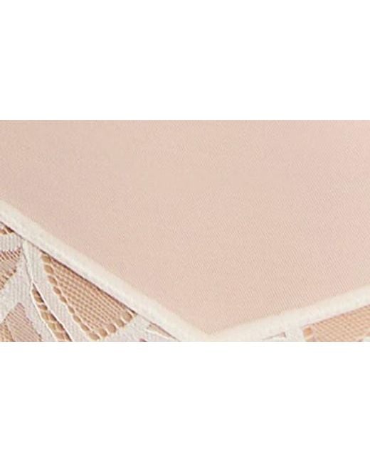 Panache Brown Allure Lace Cheeky Briefs