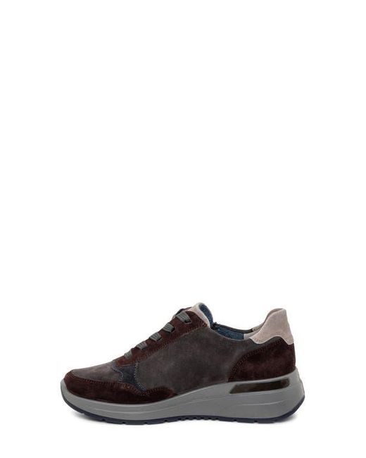 Ara Brown Gardenia Sneaker
