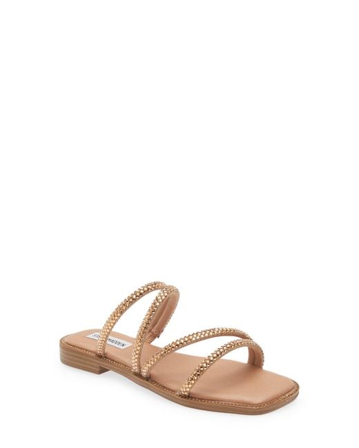 starie gold steve madden