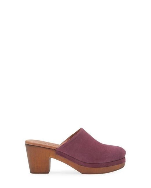 Cordani Purple Wanda Clog
