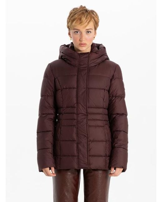 Point Zero Brown Warmth Puffer