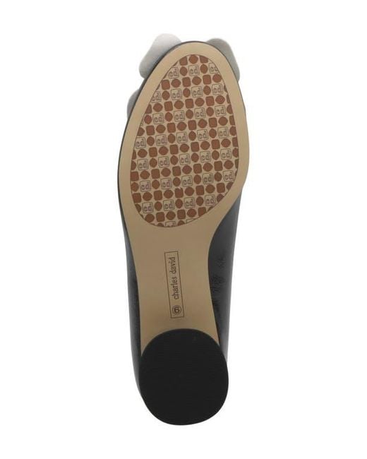Charles David Black Benson Flat