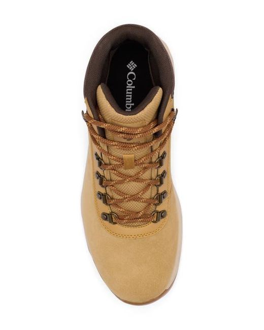 Columbia Natural Newton Wander Waterproof Hiking Boot for men