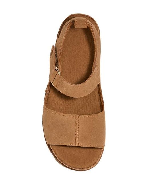 Ugg Brown Goldenstar Platform Sandal