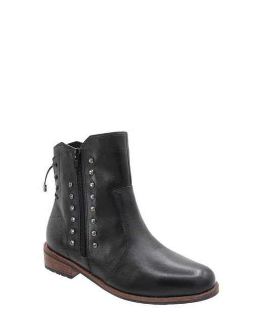 David Tate Black Maestro Waterproof Stud Bootie