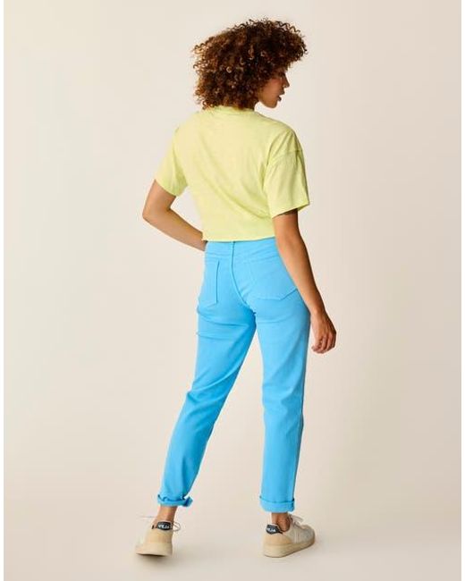 Carve Designs Blue Carson Jean