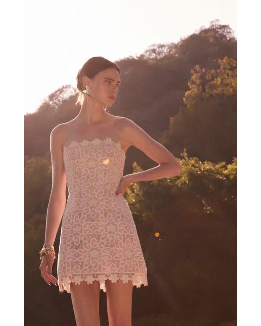 knee length dresses for ladies Caprice Floral Sequin Strapless Minidress in Multi