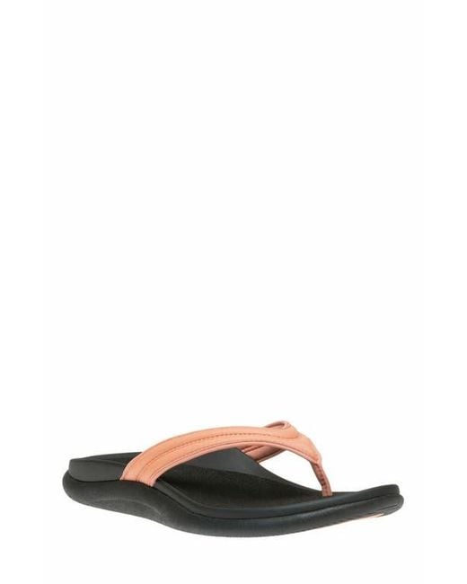 ABEO Multicolor Laguna Thin Strap Sandal