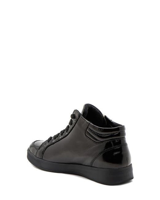 Ara Black Rei Sneaker