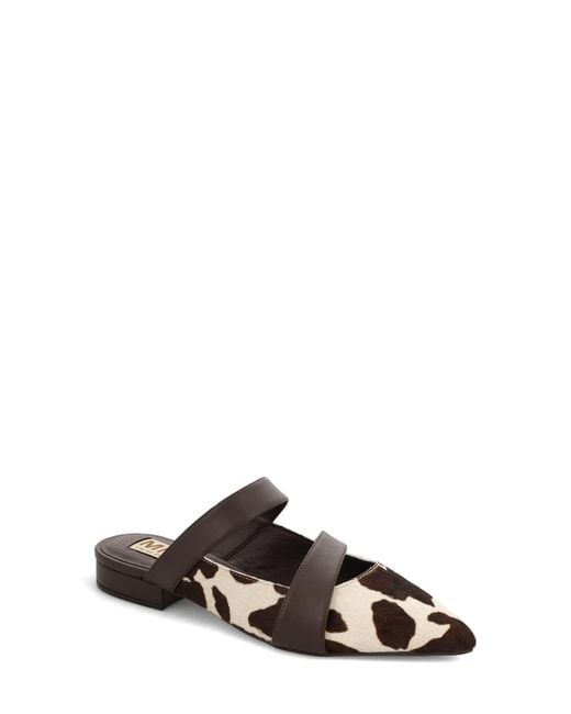 MIA Brown Abie Pointed Toe Mule
