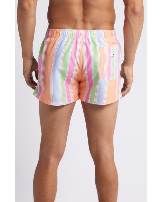 Boardies Pink Citrus Stripe Shortie Swim Trunks for men